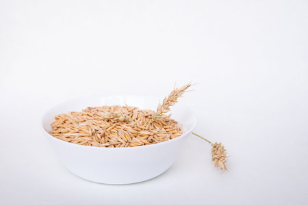 White bowl full of oat grains with oat plant for healthy breakfast and agriculture concept. Ingredient for wholesome food.の写真素材