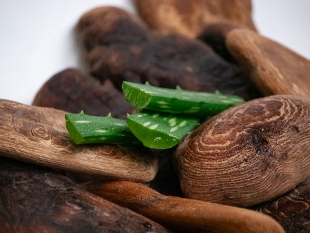 Fresh cut aloe vera slices on natural driftwood pieces for skincare and beauty product display. Holistic wellness and organic cosmetic ingredient.の写真素材
