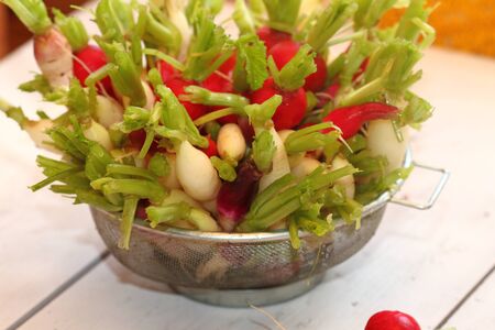 different grades of a farmer radish in a metal sieveの写真素材