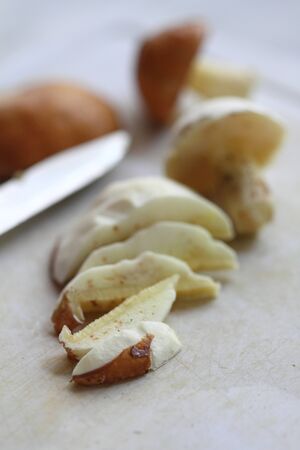 wild forest boletus mushrooms and their segmentsの写真素材