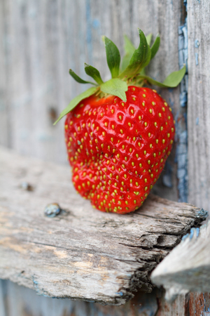 strawberry with a background from old colored boardsの写真素材