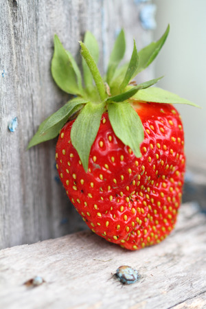 strawberry with a background from old colored boardsの写真素材