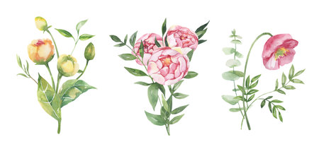 Watercolor floral illustration - leaves and branches frame with flowers and leaves for wedding stationary, greetings, wallpapers, background. Roses, green leaves. High quality illustrationの写真素材