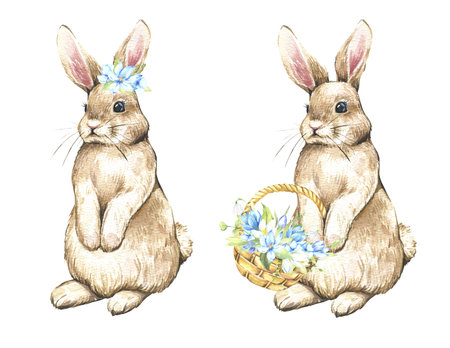Watercolor happy easter set with baby bunnies. Rabbit bunny kids illustration isolated on white. Hand drawn Easter cartoon bunny holiday funny decoration. Nursery poster. High quality illustrationの写真素材