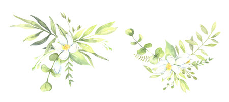 Watercolor floral illustration - leaves and branches bouquet with white flowers and leaves for wedding stationary, greetings, wallpapers, background. Roses, green leaves. . High quality illustrationの写真素材