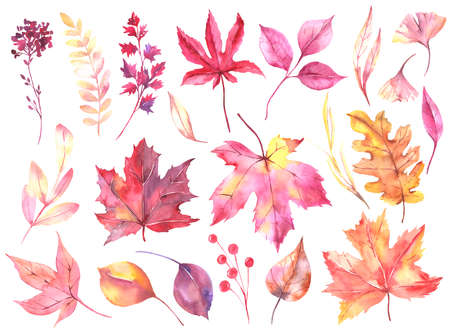 Watercolor fall invitations leaves collection , branches of pink, yellow, red leaves. Romantic floral bouquet perfect for autumn greeting cards, invitation. High quality illustrationの写真素材