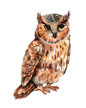 Watercolor hand painted owls. Watercolor boho owls characters clipart. High quality photoの写真素材