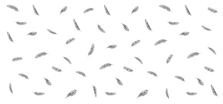 Feather icon set. Hand drawn illustration. Doodle sketch.のイラスト素材