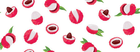 Lychee set. Exotic fruit. Hand drawn illustration.のイラスト素材