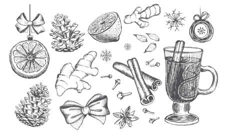 Mulled wine set. Hand drawn illustration. Vector.のイラスト素材