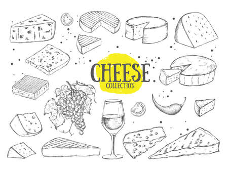 Cheese collection. Hand drawn illustrationのイラスト素材