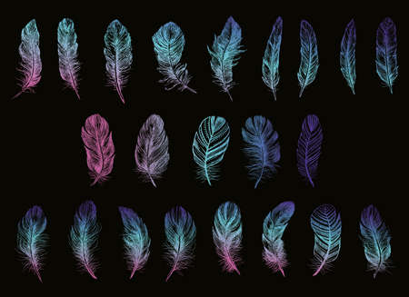 Feather icon set. Hand drawn illustration. Doodle sketch.のイラスト素材