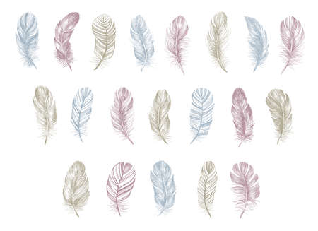 Feather icon set. Hand drawn illustration. Doodle sketch.のイラスト素材