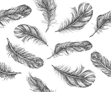 Vector Black and White Feather Patternのイラスト素材