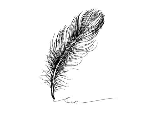 Vector Black and White Feather Patternのイラスト素材