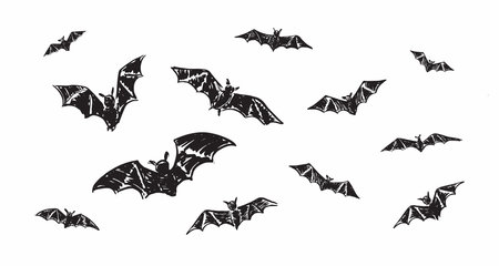 Bat sketch, Halloween, Hand drawn illustration.