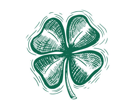 Clover, St. Patrick's Day. Hand drawn illustrations. Vector.のイラスト素材