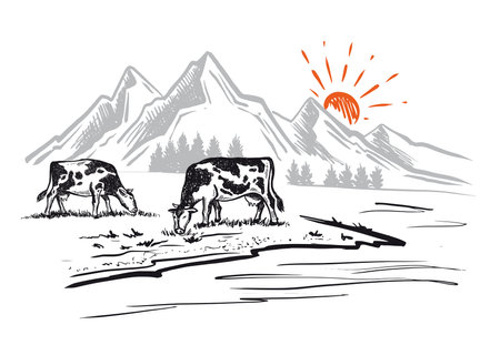 Cows chew grass against the backdrop of a landscape of mountains.のイラスト素材