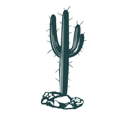 Cactus icon. Plant desert and nature theme. Isolated design. Vector illustrationのイラスト素材