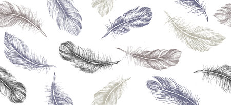 Hand drawn feather on white backgroundのイラスト素材