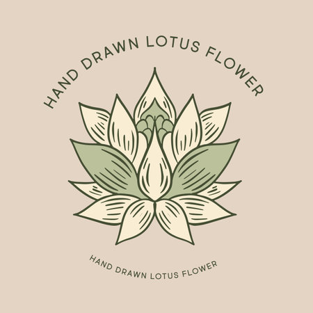 Lotus hand drawn illustrations, vector.のイラスト素材