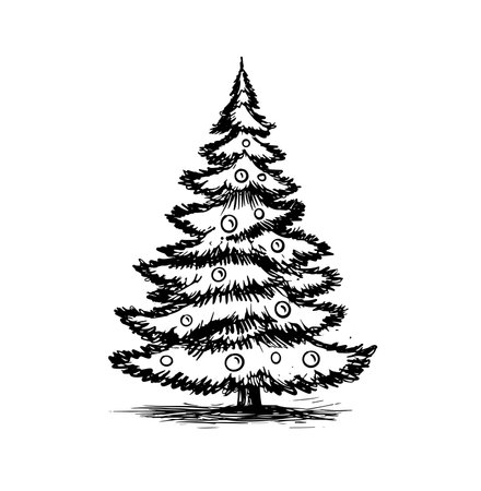 christmas tree hand drawn illustrationのイラスト素材