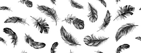 Feather Pattern, Black on Whiteのイラスト素材