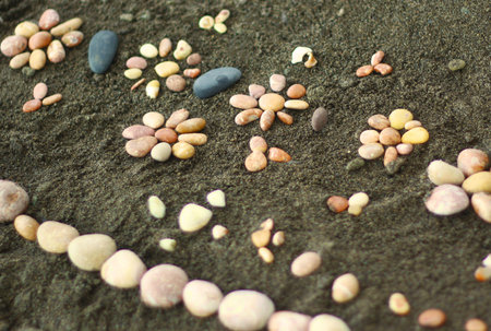 Sea stones were laid out on the sand in the form of flowers. Childrens drawing on sand from sea stoneの写真素材