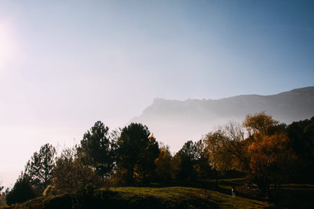 Rays of the evening sun breaking through the clouds and fog to the meadow of coniferous forests in...
