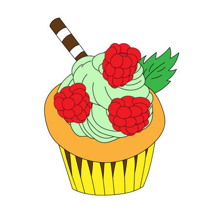 delicious cupcake with whipped cream, raspberries and mint.