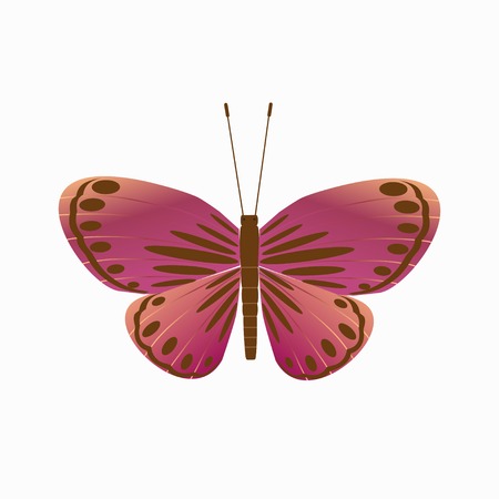 Isolated butterfly on a white background, design elements. Vector illustrationのイラスト素材
