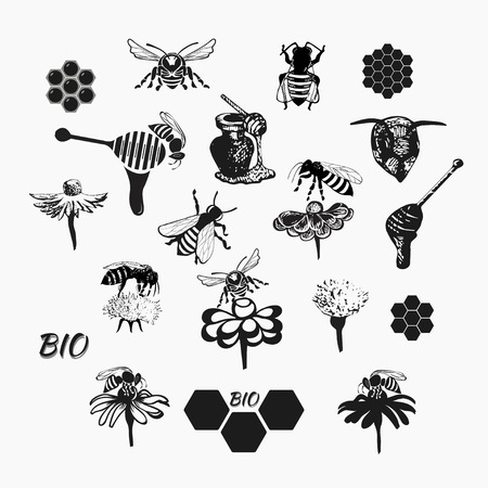Set for honey sketches. Abstract design of a bee. Vector illustrationのイラスト素材