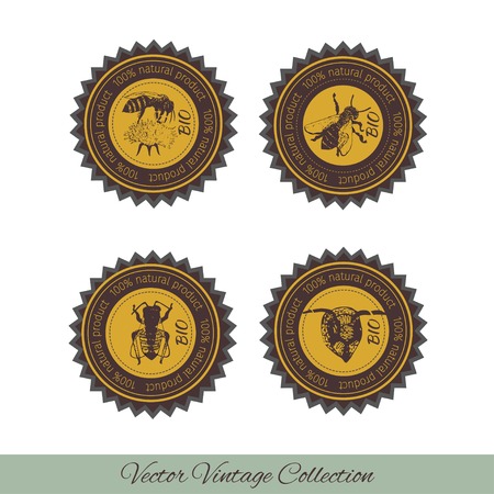 Set for honey icons and shortcuts. Abstract design of a bee. Vector illustrationのイラスト素材