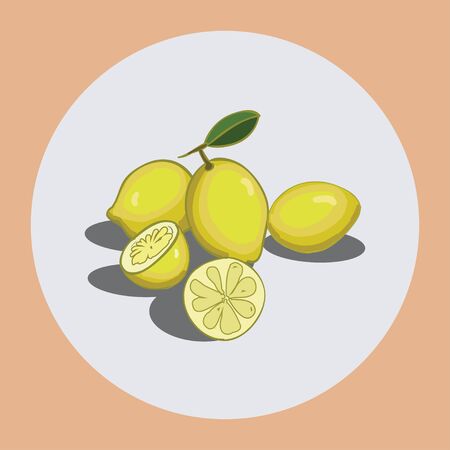 On the icon depicted on a white background lemons. Design elementのイラスト素材