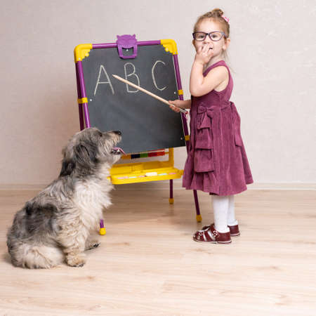 little girl teacher plays with her dog in school and shows her English letters . The dog sits on its hind legs and listens carefullyの写真素材