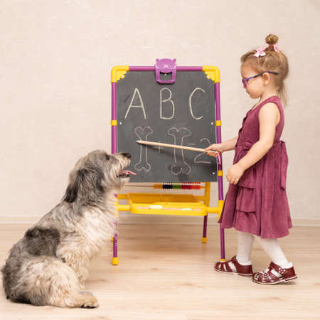a little girl teacher in a dress and glasses teaches a dog to read and count. She writes letters and numbers on the blackboard. The little girl scolds her dog for being a bad student.の写真素材