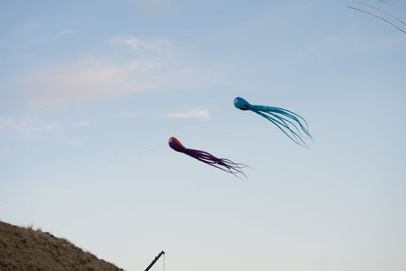 octopus-shaped kites soar in the sky over a mountain in Crimea at the festivalの写真素材