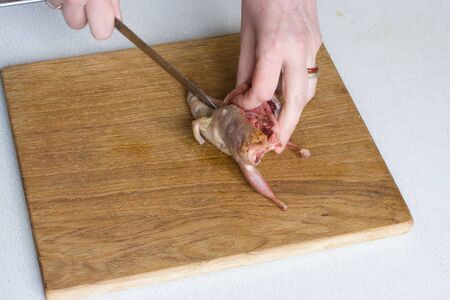 Preparing quail before coocing on wooden plateの写真素材