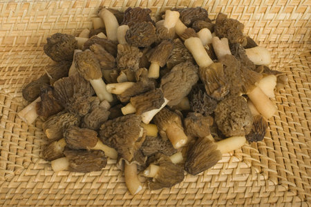 Morels on straw tray