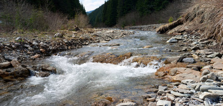 Headstream of confluent Albin of Black Cheremosh river in the Carpathian region of Ukraine near...
