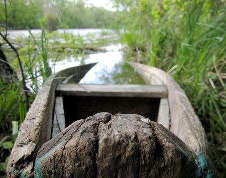 Old wooden broken boat for swimming on banks water in natural reeds. Photography consisting of old wooden boat off coast of river. Cold autumn morning with verdant nature and lonely old wooden boat.の写真素材