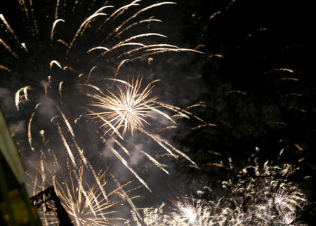 Burst colorful fireworks in night dark sky, beautiful firecracker for holiday celebration. Fireworks...