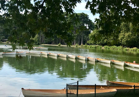 Photo on theme old wooden boat on green water of pond. Photography consists of curved wooden antique boat on water background of countryside. Wooden boat on clean water tied to each other by rope.の写真素材