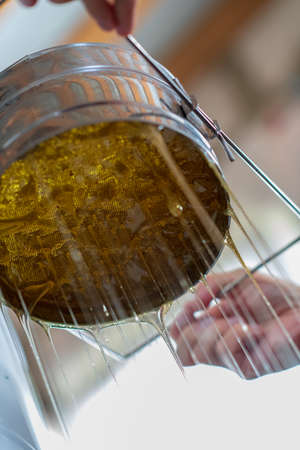 Drop of bee honey drip from hexagonal honeycombs filled with golden nectar. Honeycombs summer composition consisting of drop natural honey, drip on wax frame bee. Drop of bee honey drip in honeycombs.の写真素材