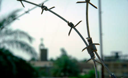 Old rusty security barbed wire fence on blue sky. Barbed steel wire in fence for stop criminal society. Fence with barbed ferruginous wire on natural nature background to protection country residents.の写真素材