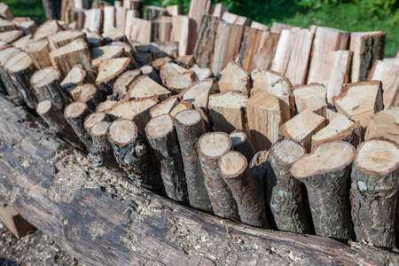 Photography on theme big wall of stacked oak tree logs in cracks. Photo consisting of old oak tree logs on nature background. Oak tree logs from textured round annual rings with stripes various size.の写真素材