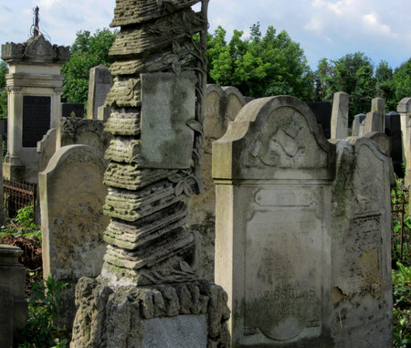 Chernivtsi, Ukraine - 12 May 2009 Abandoned Jewish cemetery with stone graves between trees. Photo...