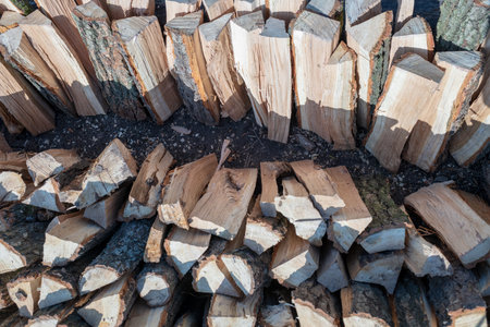 Photography on theme big wall of stacked oak tree logs in cracks. Photo consisting of old oak tree...