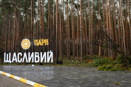 Gostomel, Ukraine - Apr. 03, 2022: Photography to theme beautiful new parkland on pine autumn forest background, photo consisting of big parkland in pine forest, design parkland in pine dense forestのeditorial素材