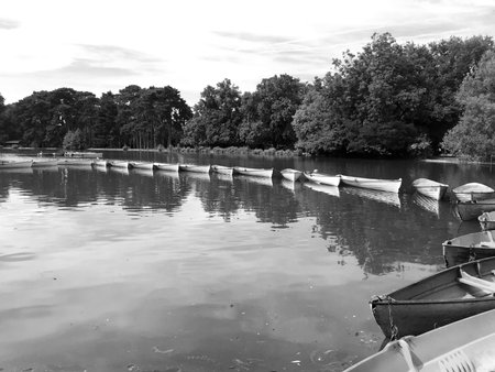 Photo on theme old wooden boat on green water of pond, photography consists of curved wooden antique...